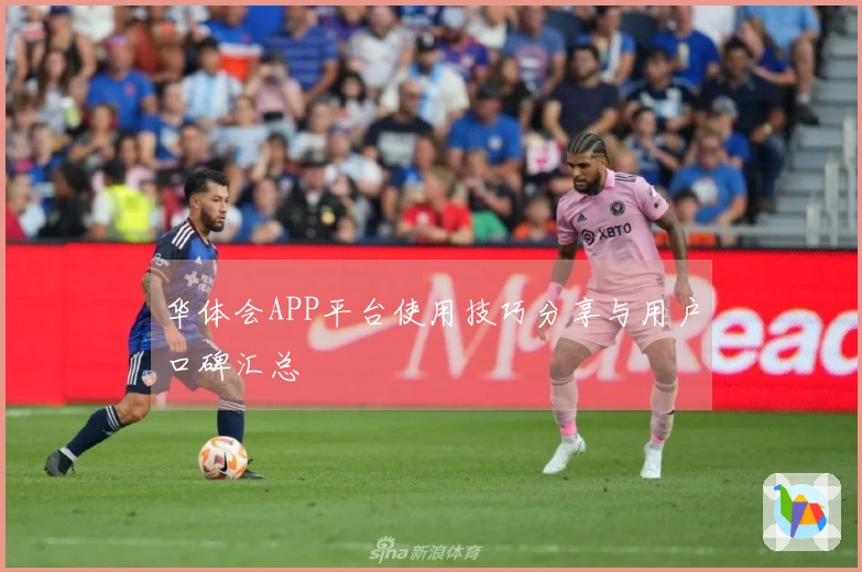 华体会APP平台使用技巧分享与用户口碑汇总